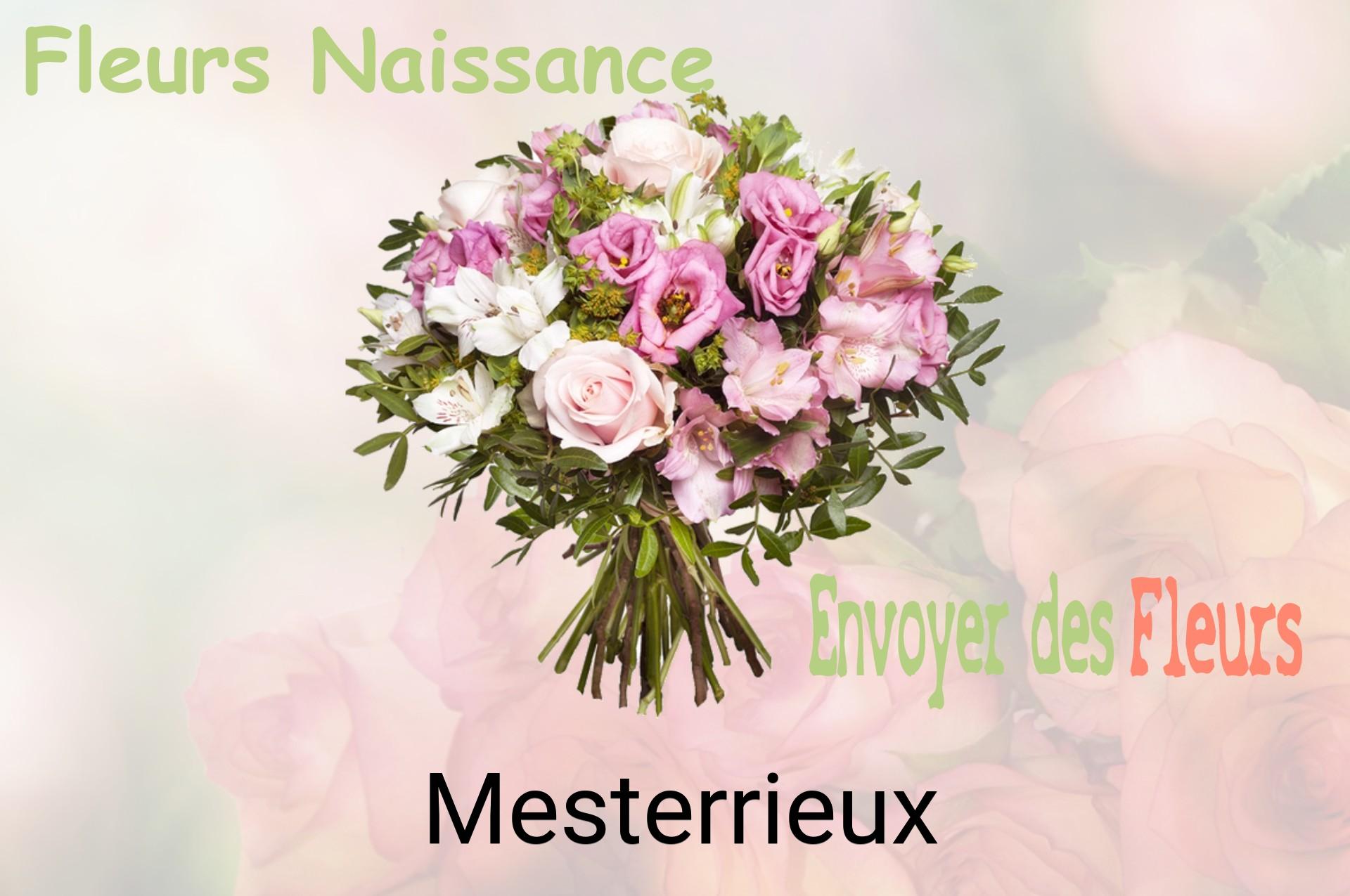 Bouquet de fleurs de naissance livré à Mesterrieux